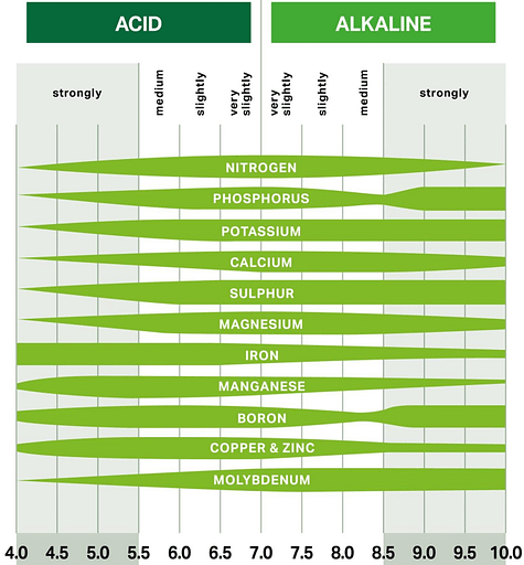 analisi suolo alcalina acida