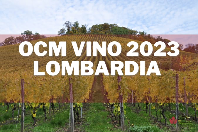 OCM vino 2023 Lombardia