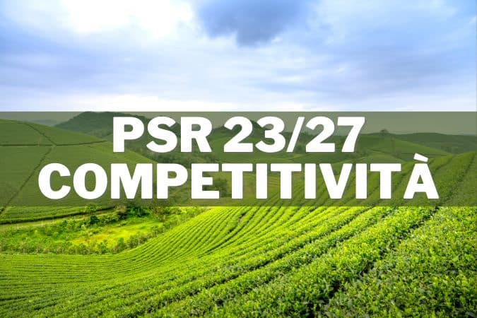 PSR Competitività